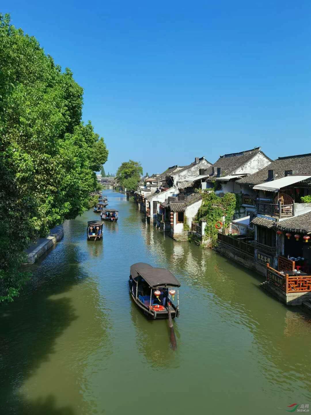 探索怎么做煮面条好吃热门话题,精彩内容盘点